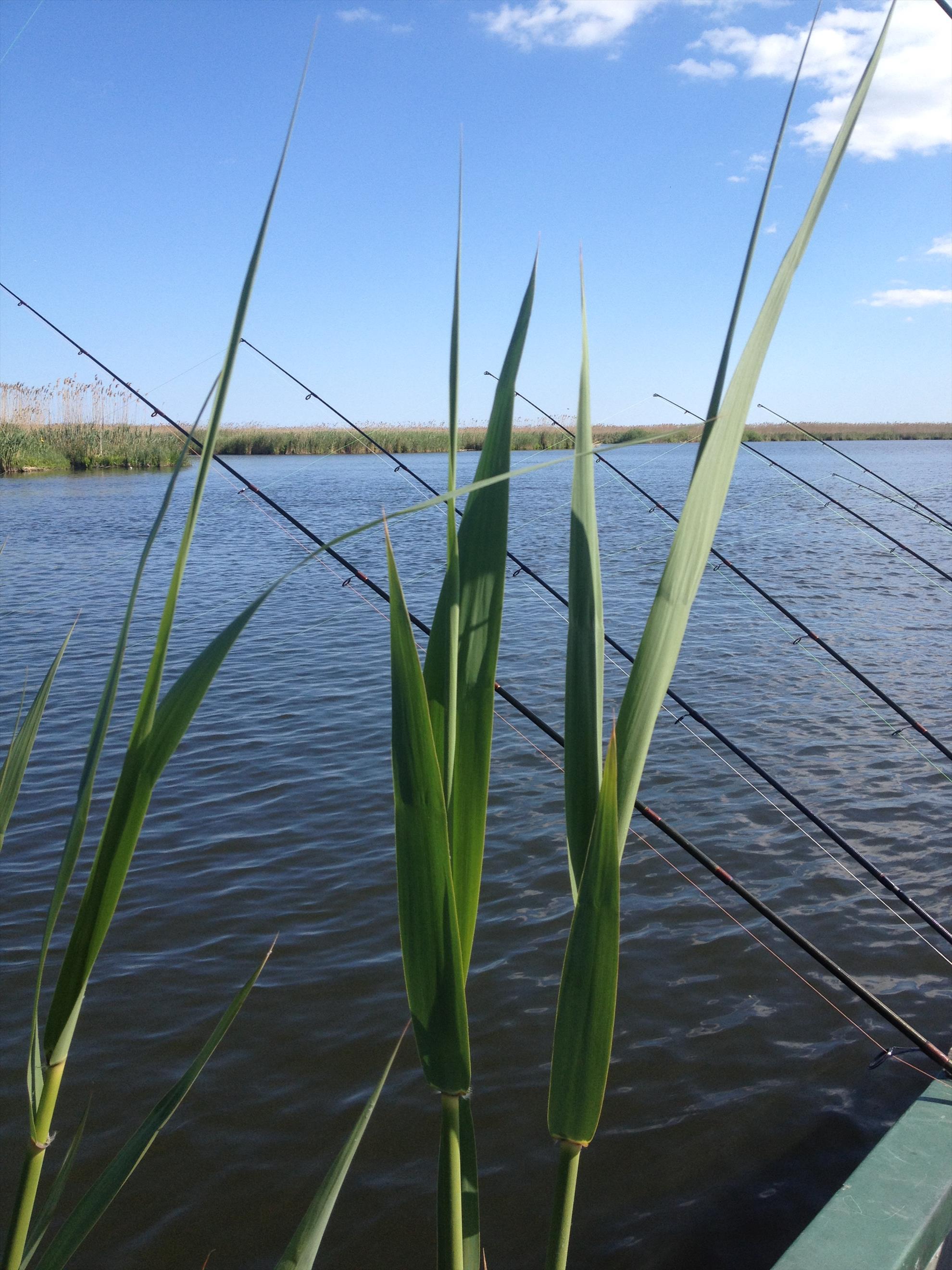 Delta Dunarii - img1146.JPG